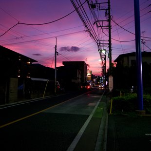 紫色の夕暮れ