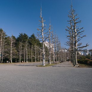 フランス式整形庭園