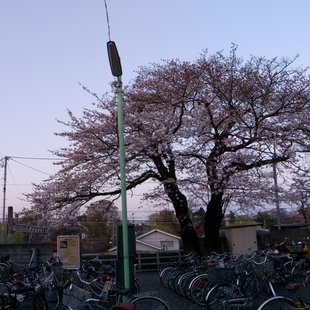井の頭公園駅近くの駐輪場