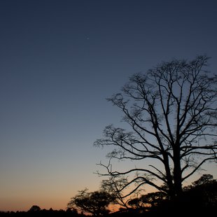 偕楽園の近くの夜空