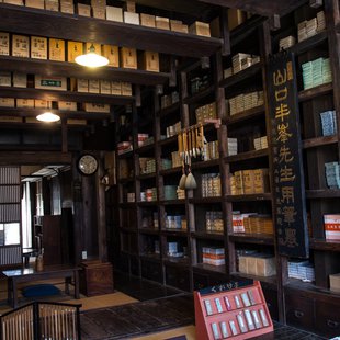 江戸東京たてもの園8