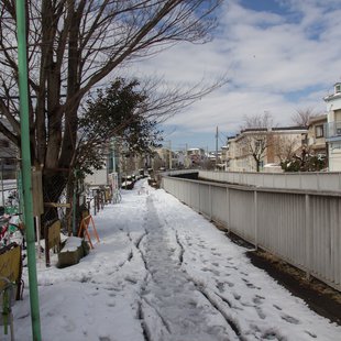 大雪の次の日5(神田川沿い)