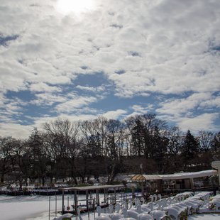 大雪の次の日9(井の頭)