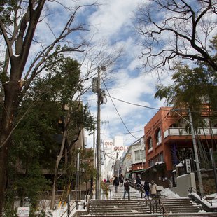 大雪の次の日12(井の頭)