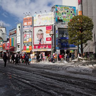 大雪の次の日16(吉祥寺)