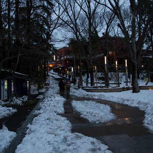 2週続きの大雪5(三鷹台~井の頭～吉祥寺)