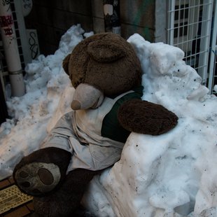 2週続きの大雪6(三鷹台~井の頭～吉祥寺)