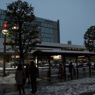 2週続きの大雪7(三鷹台~井の頭～吉祥寺)