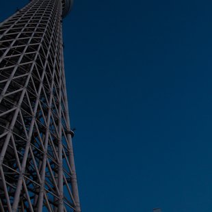 すみだ水族館へ