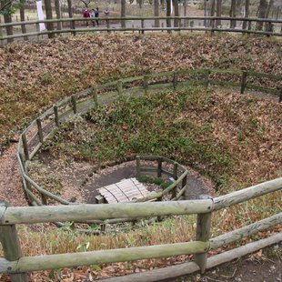 府中市郷土の森博物館5