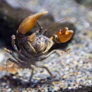 サンシャイン水族館12