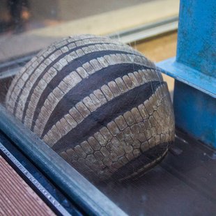 サンシャイン水族館14