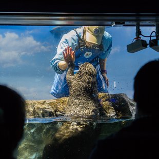 サンシャイン水族館3