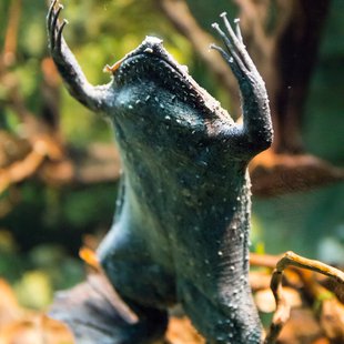 サンシャイン水族館8