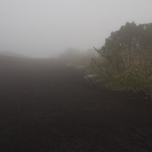 伊豆大島_濃霧で引き返す