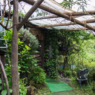 伊豆大島_きらく小屋