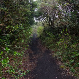 伊豆大島_この後濃霧に