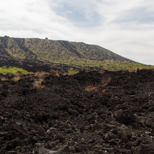 伊豆大島_溶岩が流れた跡の上