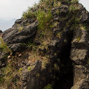 伊豆大島_ホルニトと溶岩トンネル