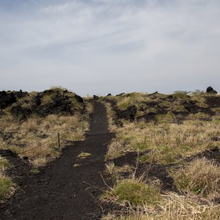 伊豆大島_三原山を降りる1