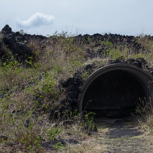 伊豆大島_埋もれた避難壕