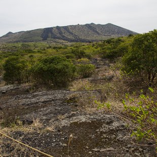 伊豆大島_三原山を降りる2
