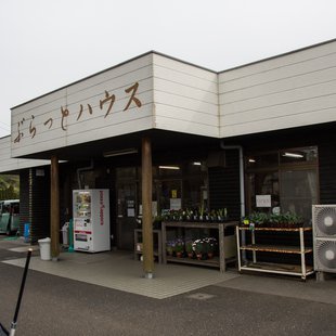 伊豆大島_ぶらっとハウス