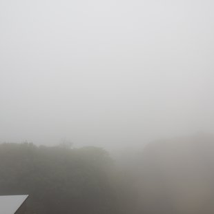 伊豆大島_雨で霧がすごかった
