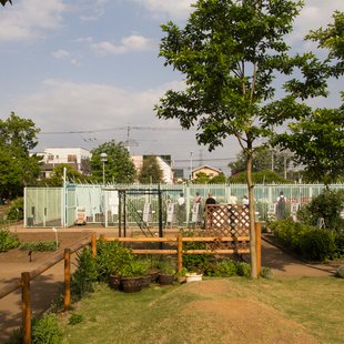 東京都薬用植物園9