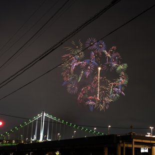 東京湾大華火祭