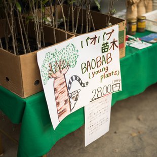 マダガスカルフェスティバル