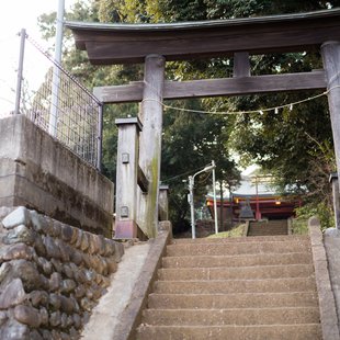 京王百草園15