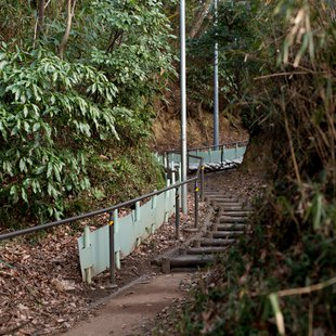 京王百草園の近く