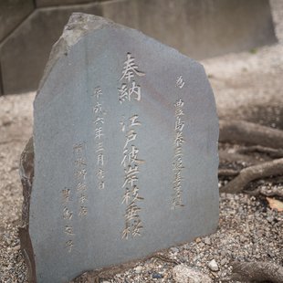 港区国際カーニバル7