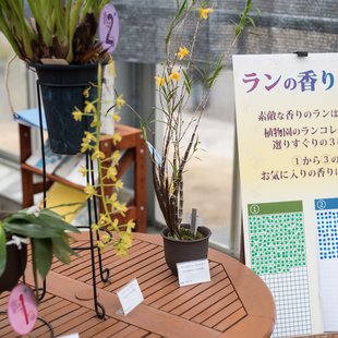 筑波実験植物園18