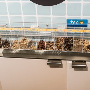 筑波実験植物園21