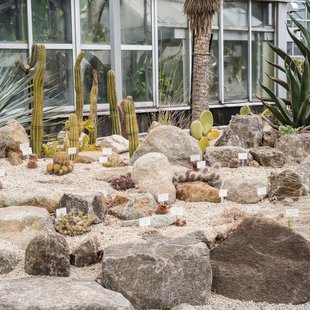 筑波実験植物園23