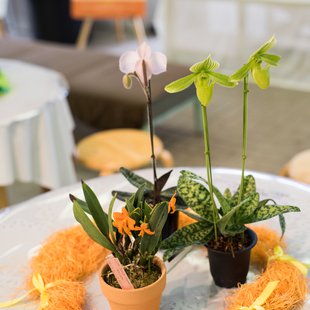 筑波実験植物園24