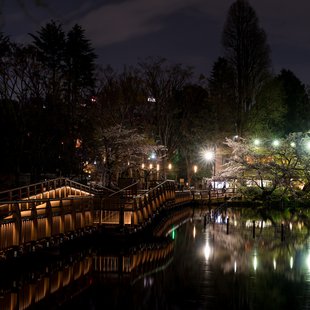 井の頭恩賜公園