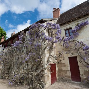 Château de Chenonceau1
