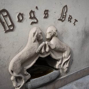 Dog's Bar