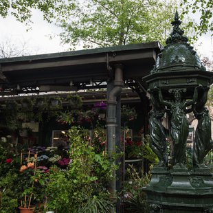Fontaine Wallace (Marché aux Fleurs, Ile de la Cité)