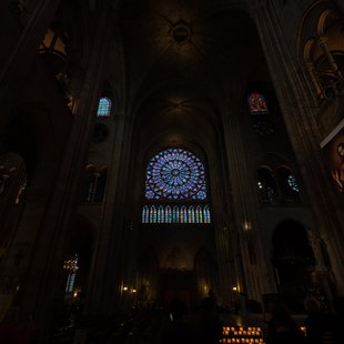 Cathédrale Notre-Dame de Paris3