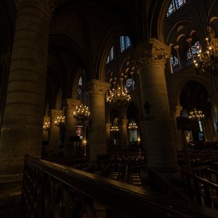 Cathédrale Notre-Dame de Paris4