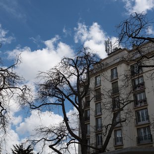 Antenne de la station de base