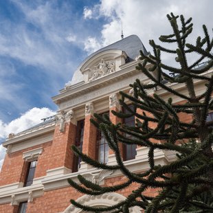 Muséum national d'histoire naturelle, Désespoir des singes