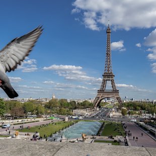 Tour Eiffel