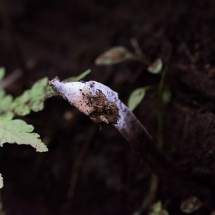 Musée Bernard Buffet4
