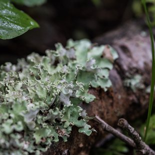 Musée Bernard Buffet5
