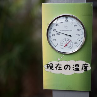 筑波実験植物園4